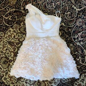 Blush pink Fit and Flare formal prom Dress with One Shoulder